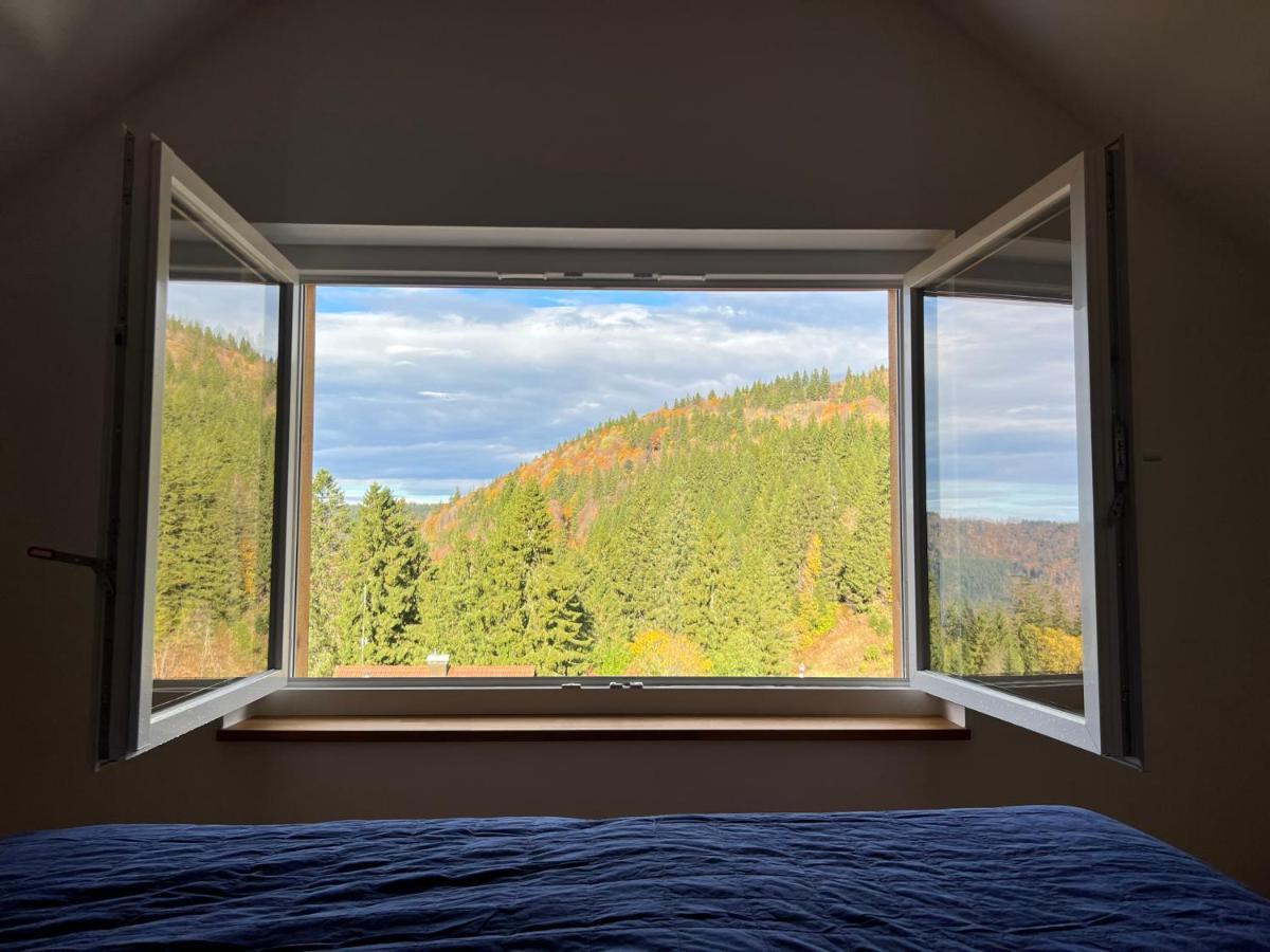 Haus Wiesenquelle, Deluxe-Apartment 'Feld & Berg' Feldberg  Esterno foto