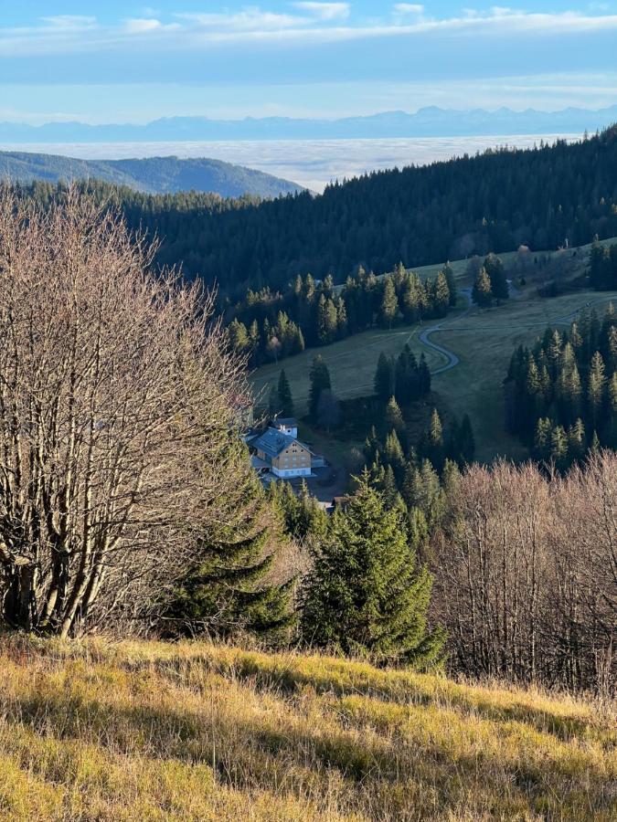 Haus Wiesenquelle, Deluxe-Apartment 'Feld & Berg' Feldberg  Esterno foto