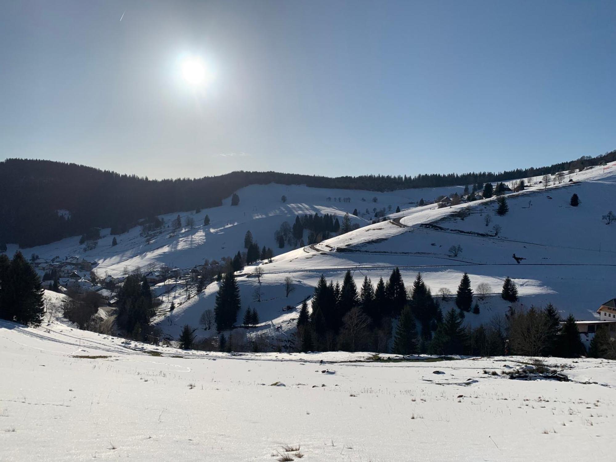 Haus Wiesenquelle, Deluxe-Apartment 'Feld & Berg' Feldberg  Esterno foto