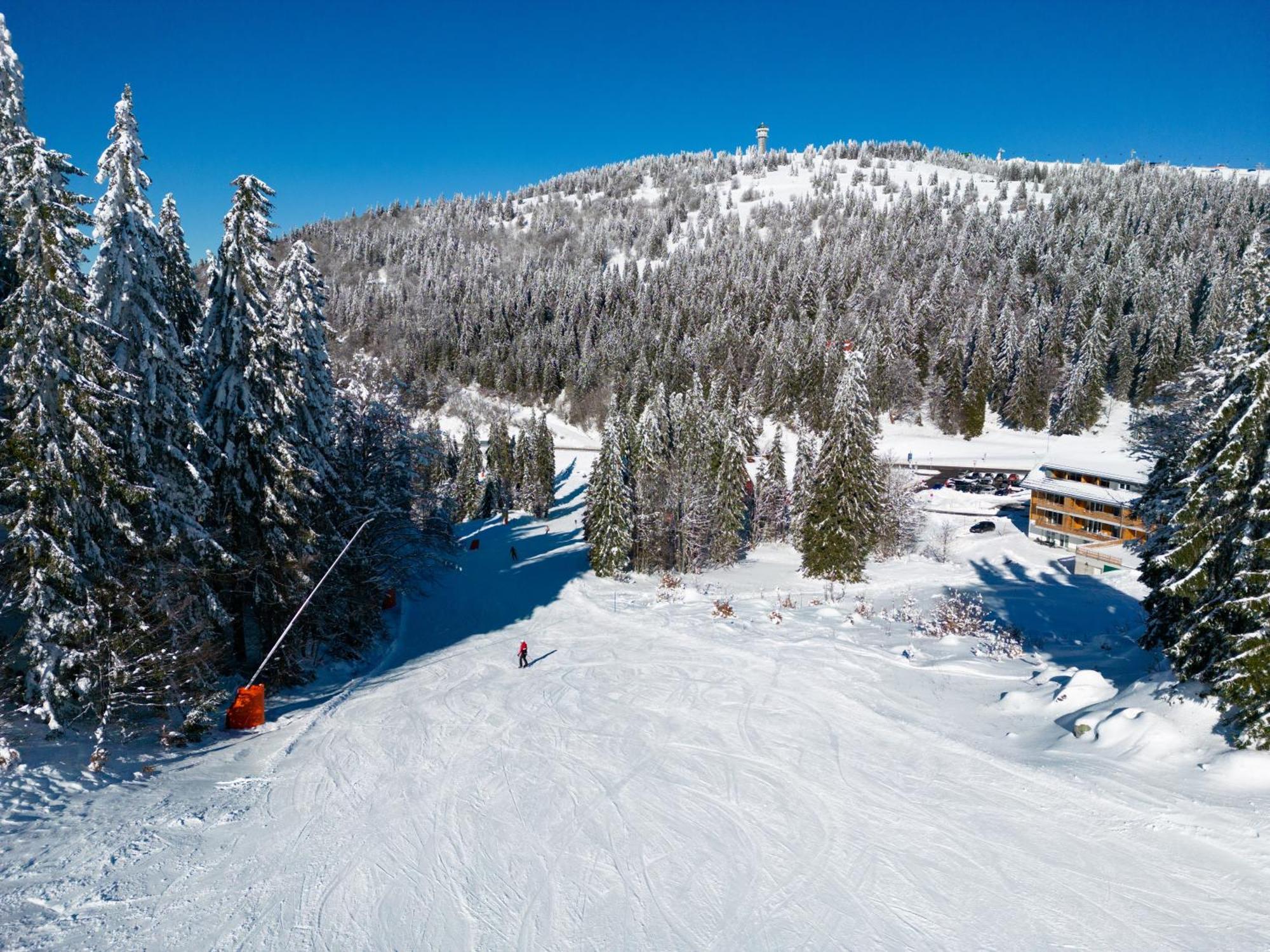 Haus Wiesenquelle, Deluxe-Apartment 'Feld & Berg' Feldberg  Esterno foto